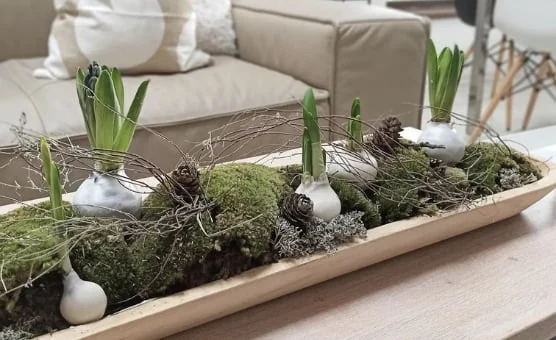 Vyrobte si trendy jarnú dekoráciu – voskované hyacinty