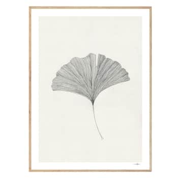 Autorský plagát Ginkgo Leaf by Ana Frois 30x40 cm