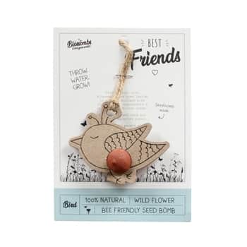 Semienka divokých kvetov Bird / Best Friends + pohľadnica