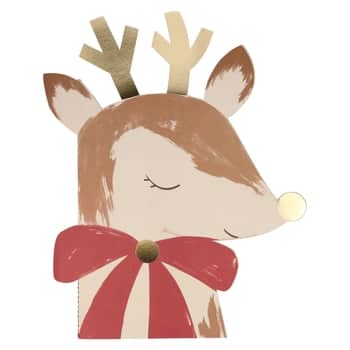 Skicár s vianočnými samolepkami Reindeer