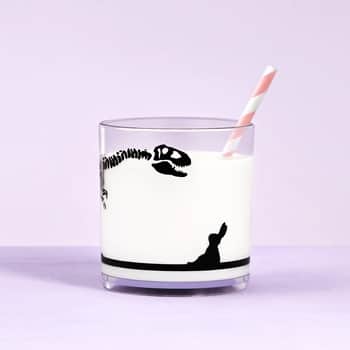 Plastový pohár Dinosaur 250 ml