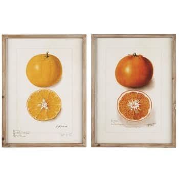 Obraz v rámé Citrus Fruits 45 x 60 cm