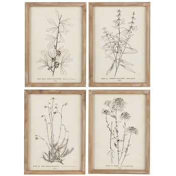 Obraz v ráme Plant Motifs 27 x 37 cm