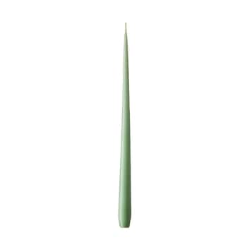 Sviečka Slim 32 cm – 66 Eucalyptus